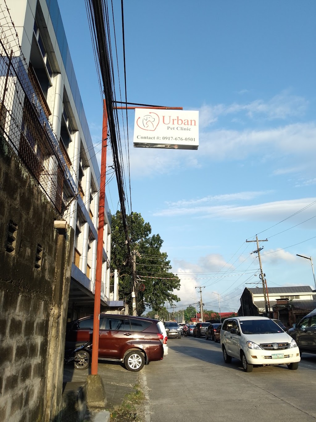 Urban Pet Clinic — photo 2