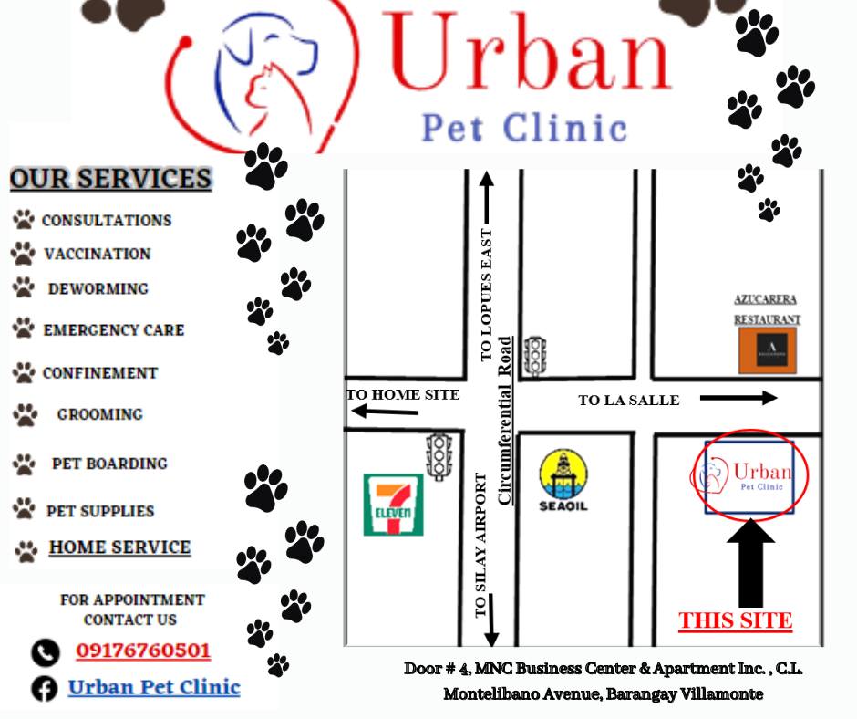 Urban Pet Clinic — photo 4