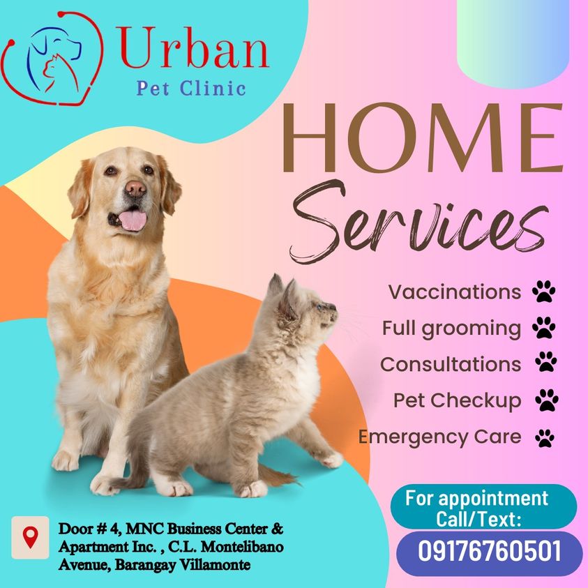 Urban Pet Clinic — photo 6